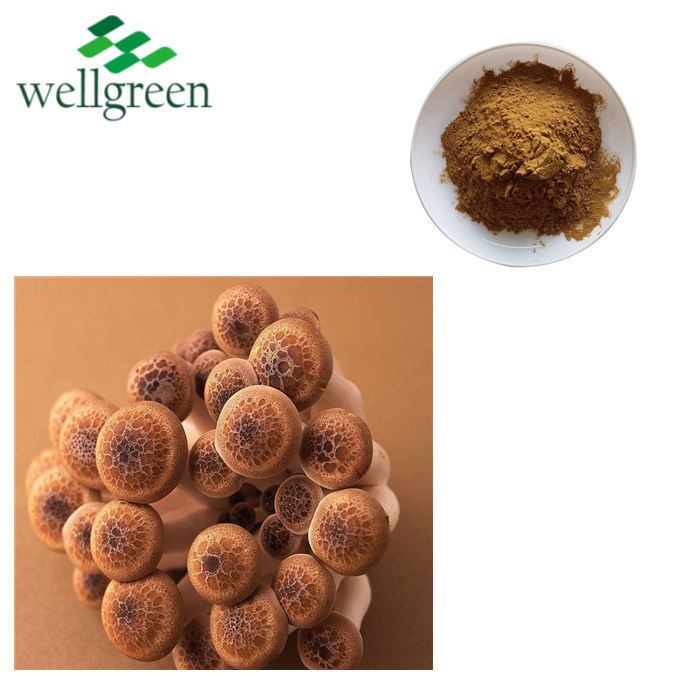 Extracte de bolets Shiitake
