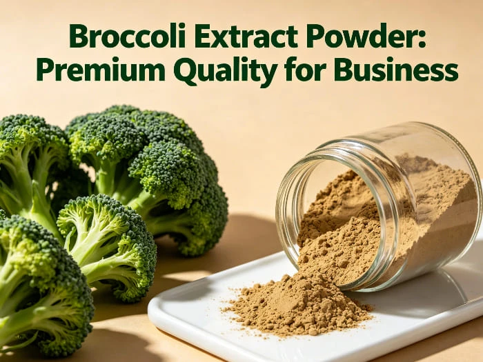 Broccoli extract powder Broccoli extract powder